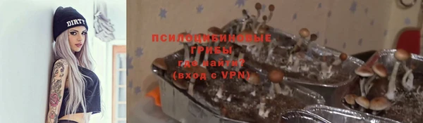 трава Абинск
