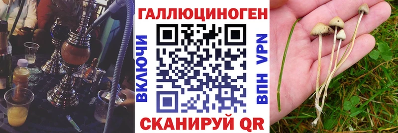 Галлюциногенные грибы мицелий  где найти   Ишимбай 